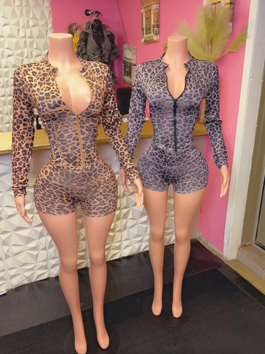 Leporad Black Zip Short Set ( Grey )